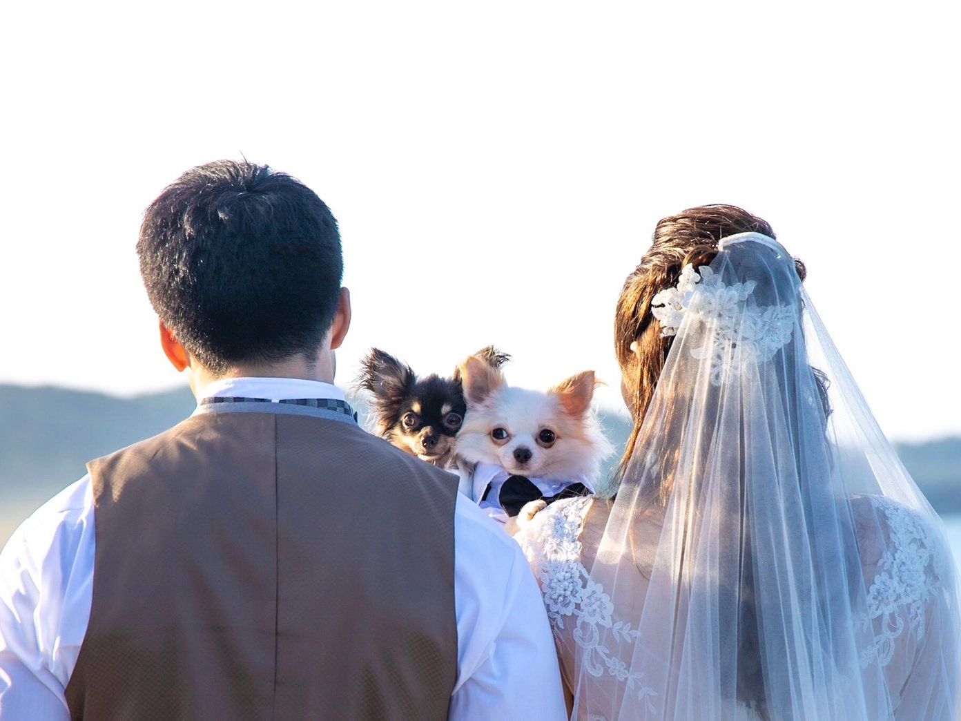 ブライダルフォトウエディング